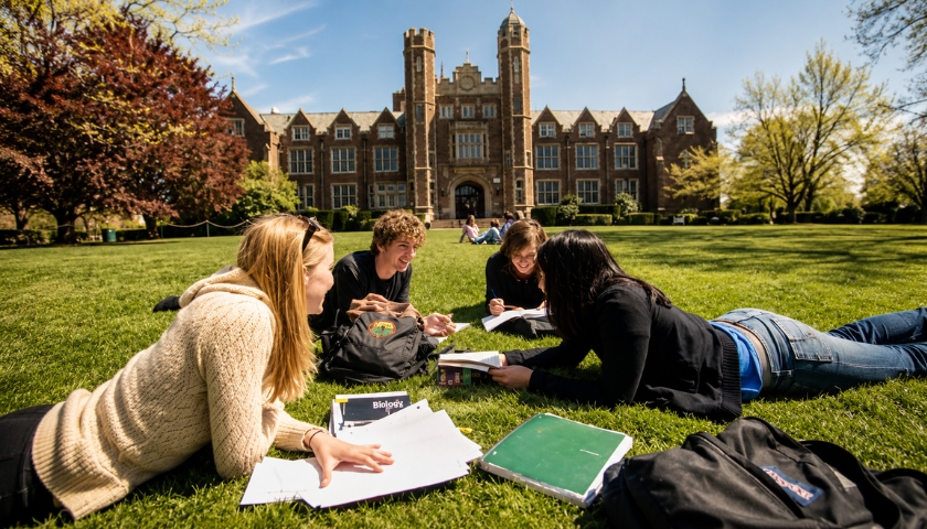 University Admissions Trends